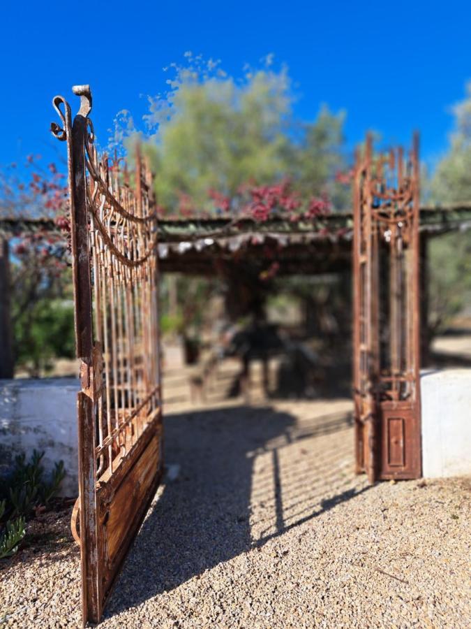 Olive Grove Cottage Koringberg ภายนอก รูปภาพ