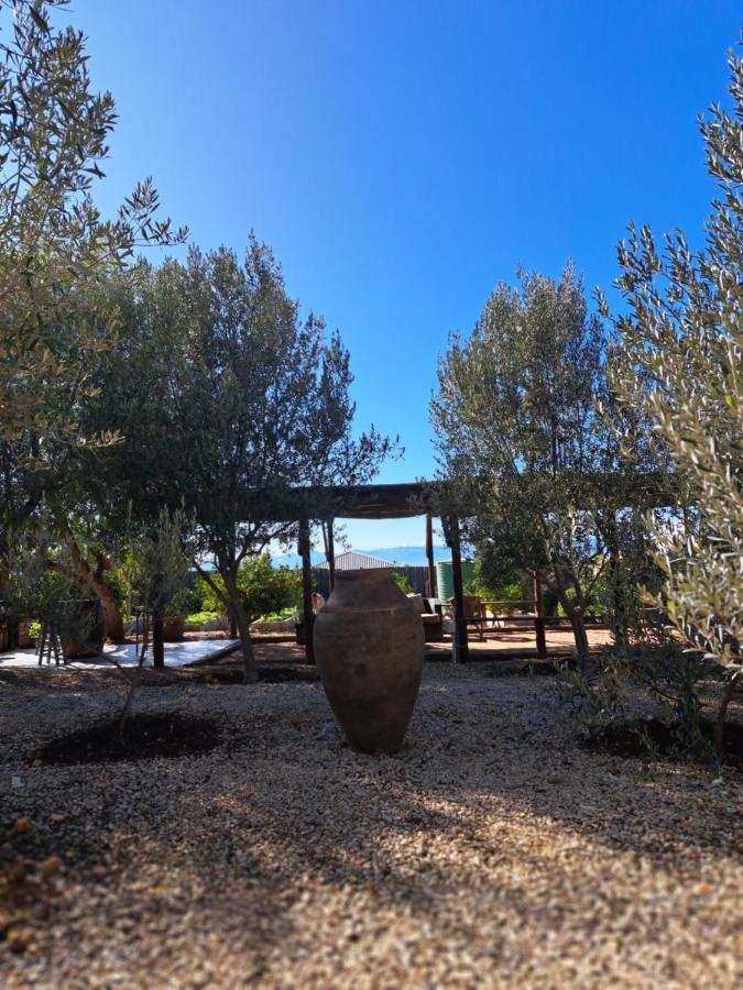 Olive Grove Cottage Koringberg ภายนอก รูปภาพ